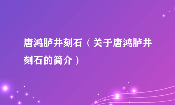 唐鸿胪井刻石（关于唐鸿胪井刻石的简介）