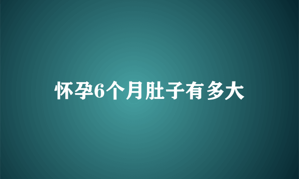 怀孕6个月肚子有多大