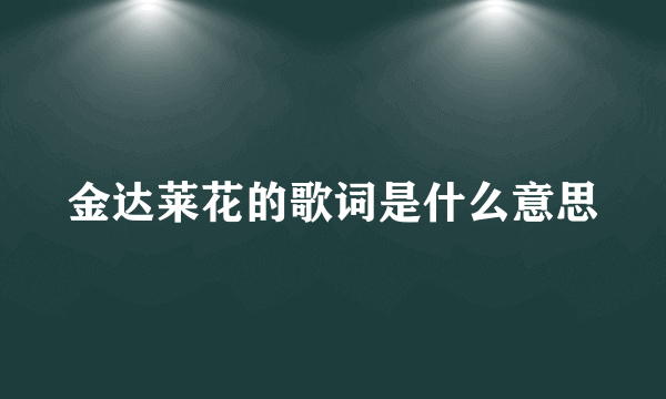 金达莱花的歌词是什么意思