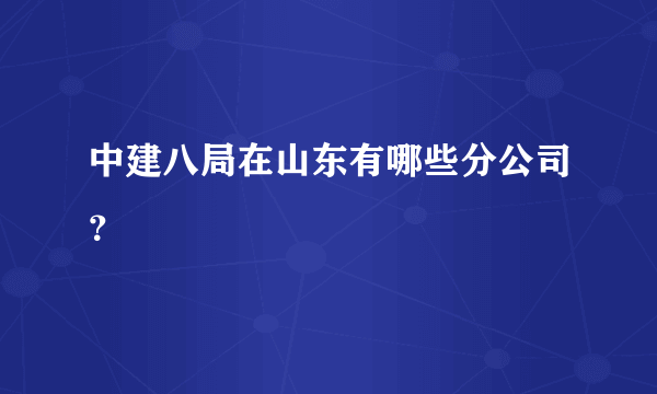 中建八局在山东有哪些分公司？