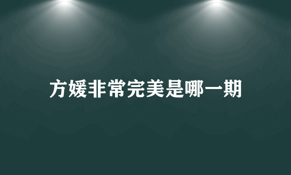 方媛非常完美是哪一期