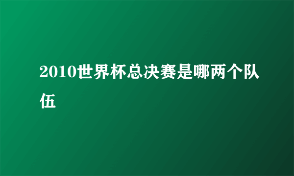 2010世界杯总决赛是哪两个队伍