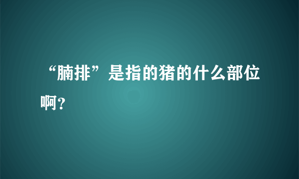 “腩排”是指的猪的什么部位啊？