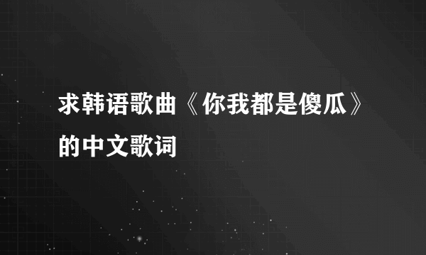 求韩语歌曲《你我都是傻瓜》的中文歌词