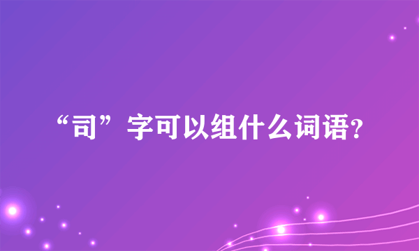 “司”字可以组什么词语？