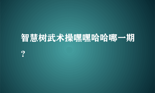 智慧树武术操嘿嘿哈哈哪一期？