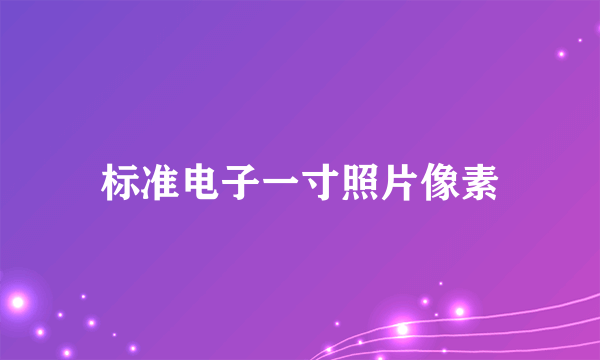 标准电子一寸照片像素