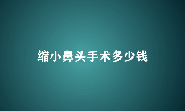 缩小鼻头手术多少钱