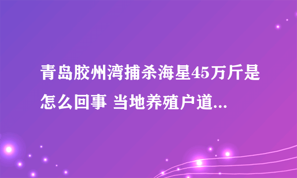 青岛胶州湾捕杀海星45万斤是怎么回事 当地养殖户道出了原因