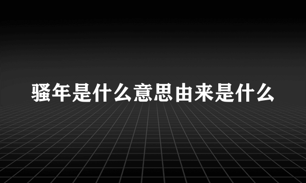 骚年是什么意思由来是什么