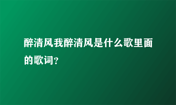 醉清风我醉清风是什么歌里面的歌词？