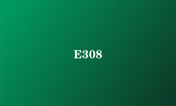 E308