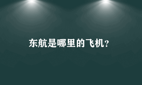 东航是哪里的飞机？