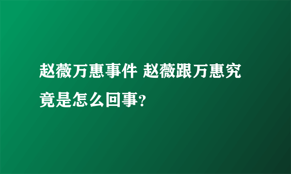 赵薇万惠事件 赵薇跟万惠究竟是怎么回事？