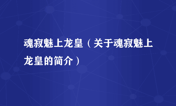 魂寂魅上龙皇（关于魂寂魅上龙皇的简介）