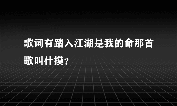 歌词有踏入江湖是我的命那首歌叫什摸？