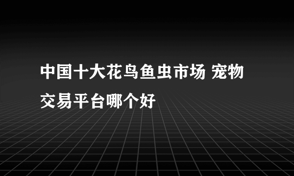 中国十大花鸟鱼虫市场 宠物交易平台哪个好