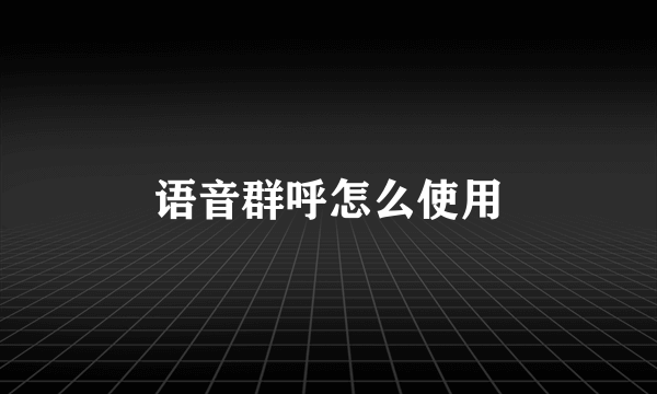 语音群呼怎么使用