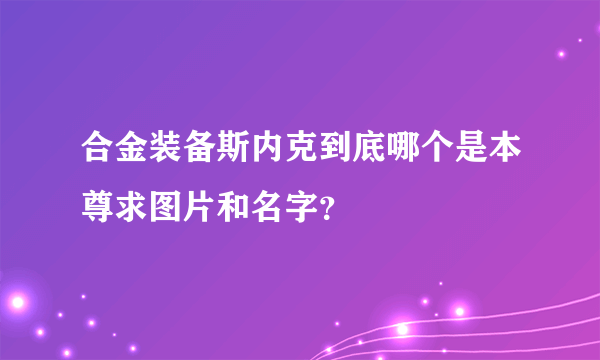 合金装备斯内克到底哪个是本尊求图片和名字？