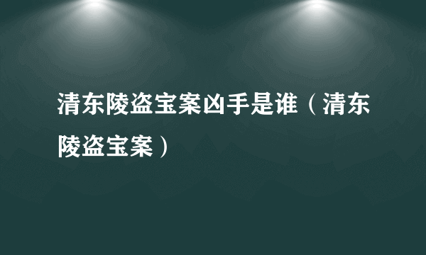 清东陵盗宝案凶手是谁（清东陵盗宝案）