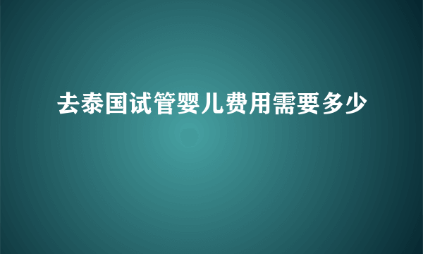 去泰国试管婴儿费用需要多少