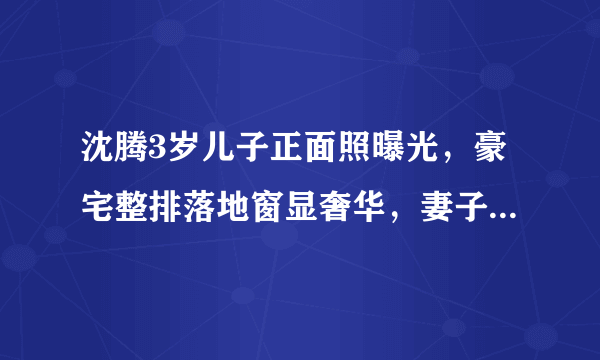 沈腾3岁儿子正面照曝光，豪宅整排落地窗显奢华，妻子备孕生虎妞