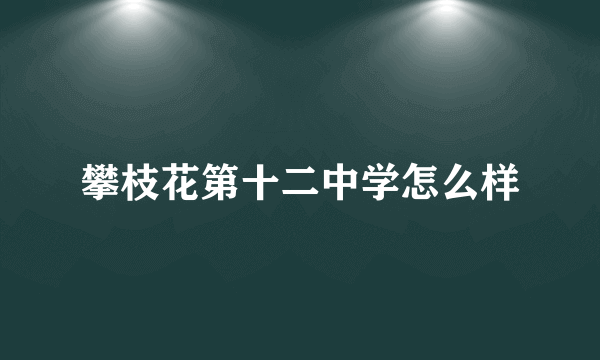 攀枝花第十二中学怎么样