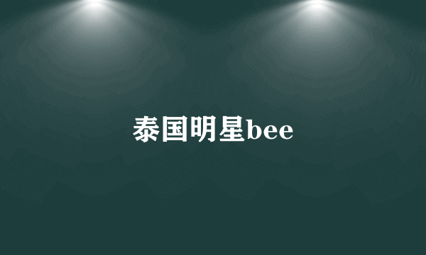 泰国明星bee