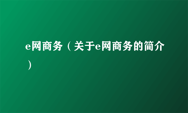 e网商务（关于e网商务的简介）