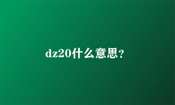 dz20什么意思？