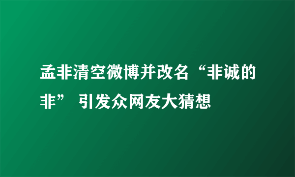 孟非清空微博并改名“非诚的非” 引发众网友大猜想