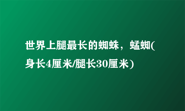 世界上腿最长的蜘蛛，蜢蜘(身长4厘米/腿长30厘米)