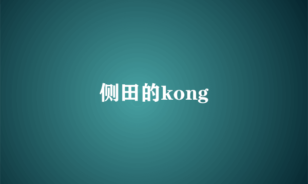 侧田的kong