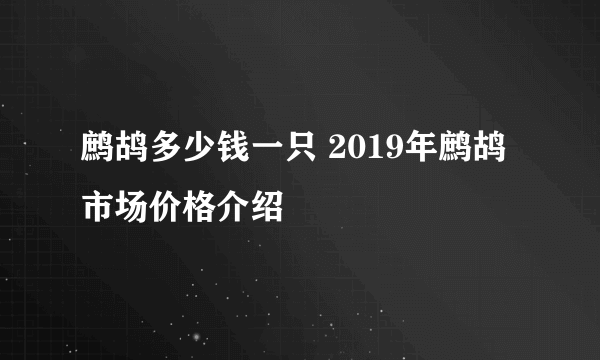 鹧鸪多少钱一只 2019年鹧鸪市场价格介绍