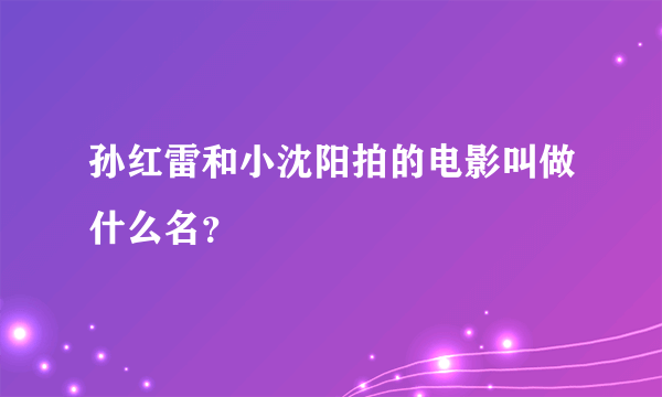 孙红雷和小沈阳拍的电影叫做什么名？