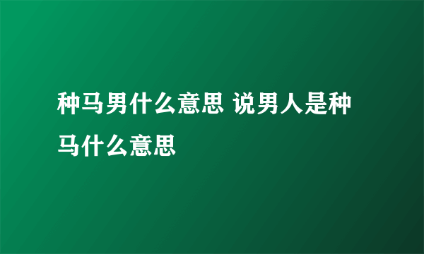 种马男什么意思 说男人是种马什么意思