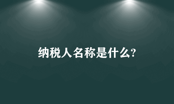 纳税人名称是什么?