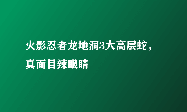 火影忍者龙地洞3大高层蛇，真面目辣眼睛