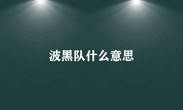 波黑队什么意思