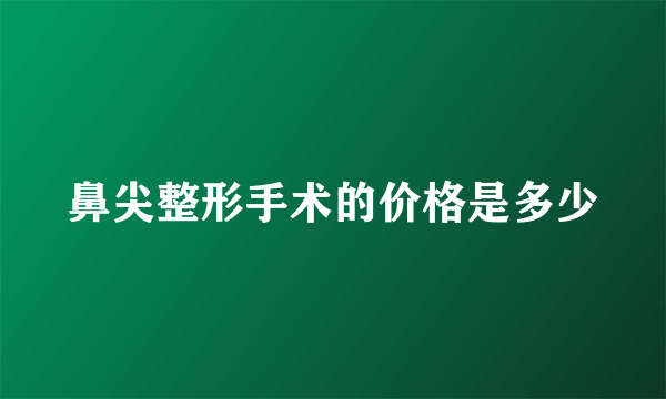 鼻尖整形手术的价格是多少