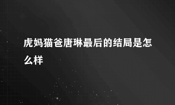 虎妈猫爸唐琳最后的结局是怎么样