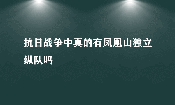 抗日战争中真的有凤凰山独立纵队吗