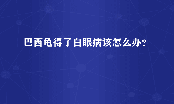 巴西龟得了白眼病该怎么办？