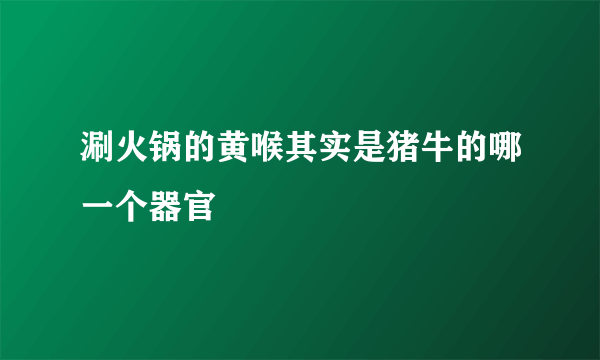 涮火锅的黄喉其实是猪牛的哪一个器官