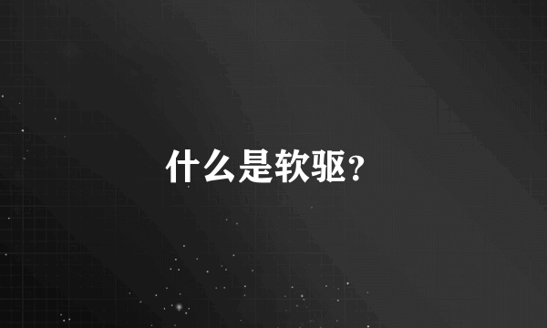 什么是软驱？