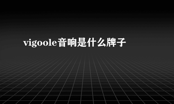 vigoole音响是什么牌子