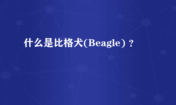 什么是比格犬(Beagle) ？