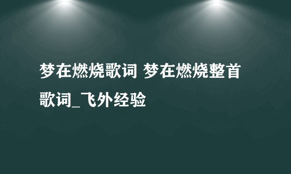 梦在燃烧歌词 梦在燃烧整首歌词_飞外经验