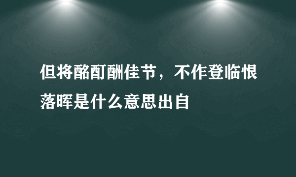 但将酩酊酬佳节，不作登临恨落晖是什么意思出自