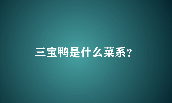 三宝鸭是什么菜系？